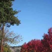WC Buisinesses, Buildings, Street Views, Ygnacio Valley Rd., Oak Grove Rd., Shadelands Business Center, Encina Grande, Shadelands Ranch