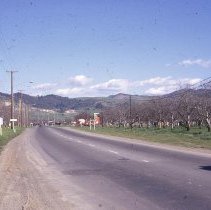 Transportation, Street Views, Ygnacio Valley Rd., Wiget Ln., Farming