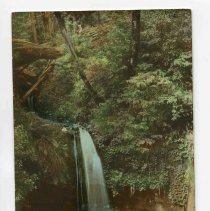 Sempervirens, California, Postcard