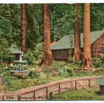 Sequoia Park, Eureka, California, Postcard