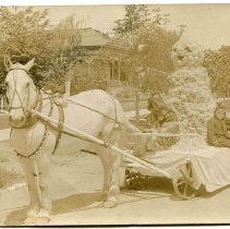 Two Boys on a Parade Float with Flower Snowman, Santa Rosa, California, Postcard