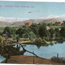 Rustic Bridge, Prospect Park, Redlands, California, Postcard