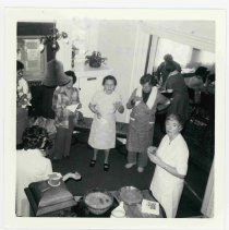 WC People, Shadelands