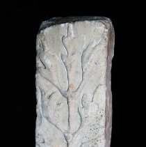 Column (fragment) from the St. Peter the Martyr Church.