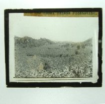 Transparency, Lantern-slide