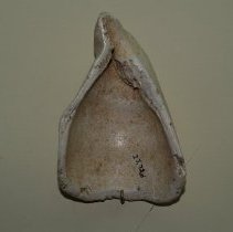 shell scraper