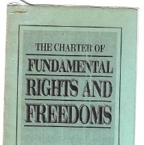 The Charter of Fundamental Rights and Freedoms