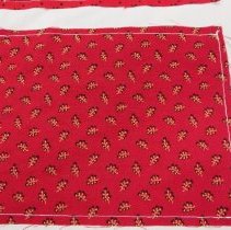 Arnold Savage Panel 2 1835-1840 & 1870