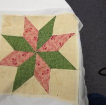 Arnold Savage Panel 2 1835-1840 & 1870