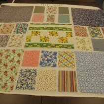 Arnold Savage Panel 8 Feed Sacks