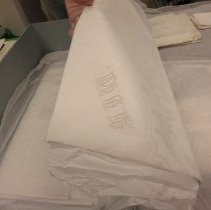 Tablecloth and 12 napkins