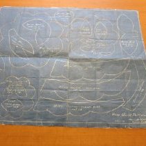 American Beauty Rose or Pink Rose or Rose