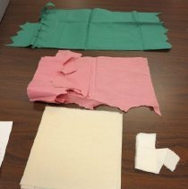 American Beauty Rose or Pink Rose or Rose