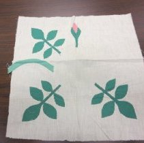 American Beauty Rose or Pink Rose or Rose