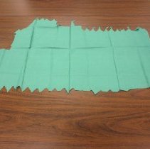 American Beauty Rose or Pink Rose or Rose