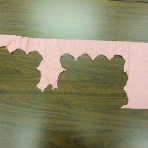 American Beauty Rose or Pink Rose or Rose