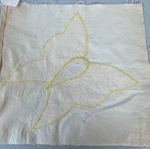 Yellow And Brown Moth B