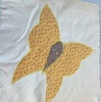 Yellow And Brown Moth A