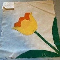 Yellow Tulip In Corner A