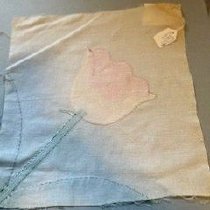 Yelllow Tulip In Corner D