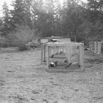 Cock fighting investigation