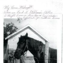 2016-020-010-Horse-Midnight Horse Heaven