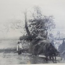 Photo Copy of Farm at Ebenezer and Rapid Run Roads