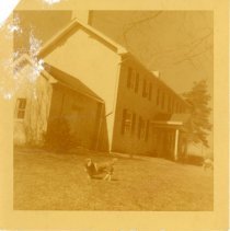 Fischbach House_Williams_Delhi_Anderson Ferry