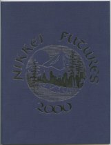 Nikkei Futures 2000 Program