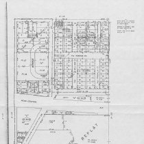 Plat of area surrounding Sons of Israel Synagogue