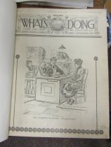 "What's Doing" collection