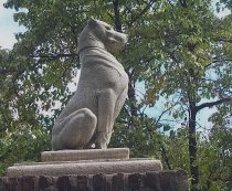 Photo by Pete Finneran 2000