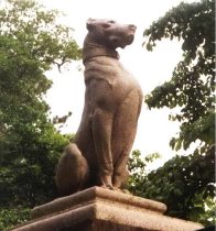 Photo From File, No Number