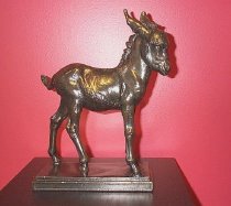 Photo by Pete Finneran 2000