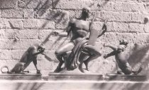 Photograph Number 236