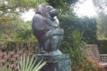 Photo by Pete Finneran 2000