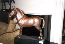 Photograph from Object File