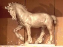 Buster (color image)