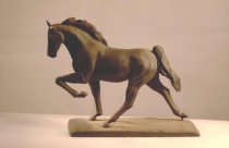 Tennessee Walker, Ear Missing