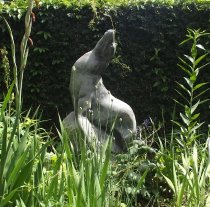 Photo by L. Hunnicutt 2014