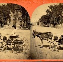 Stereoview