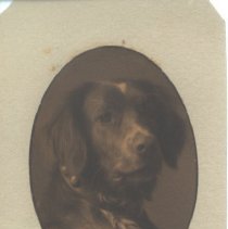 Dan Tappan's Dog, Don