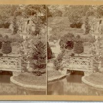 Potter's Grove: Bridge