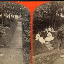 Potter's Grove  hillside with sweet young things and a guy