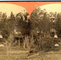 Potter's Grove tower long view