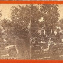 Potters Grove with steep hill