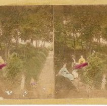 Potters Grove with Groups People