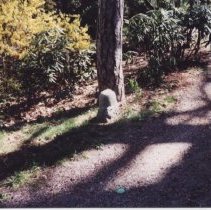 Potters Grove Photos: 1 of 11