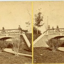 Potter's Grove: Bridge