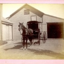Richardson's horse carriage
